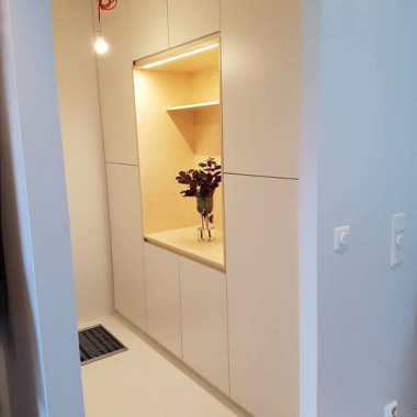 eteisen kaapisto koivusydämellä